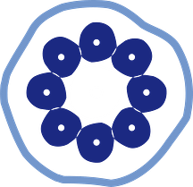 PNG_Scandinavian_Element_36