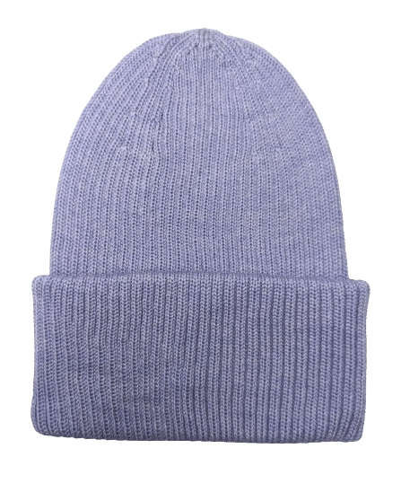 Fairy Wings Violet Hat