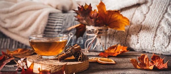Autumn has no need for black