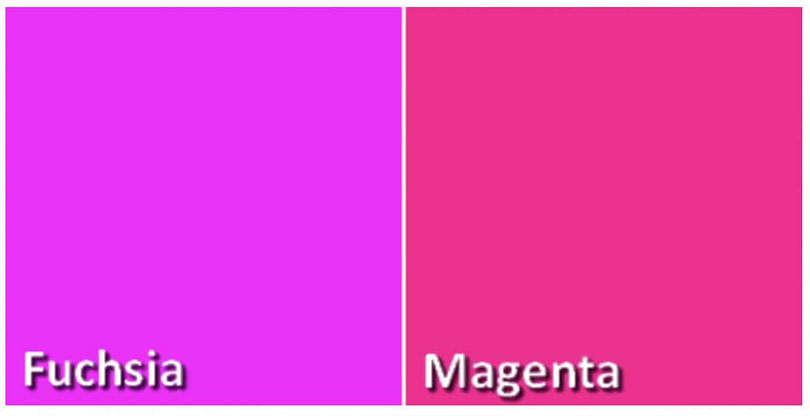 Fuchsia and Magenta compared Fuchsia and Magenta compared