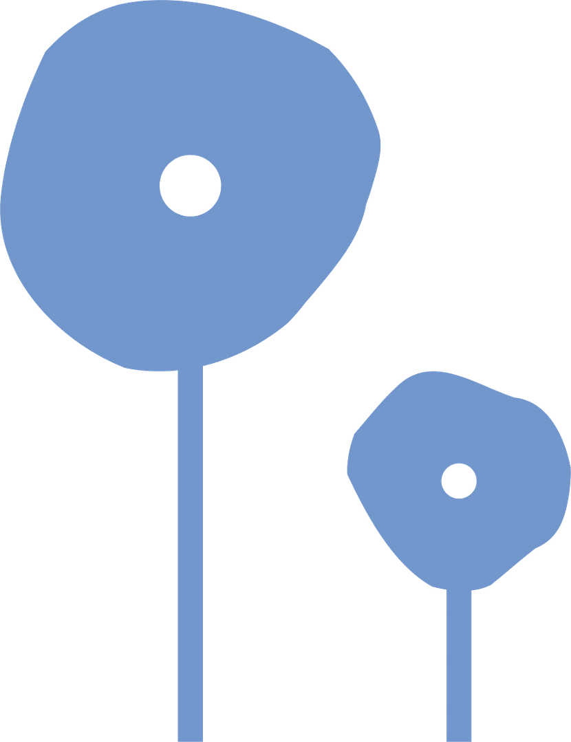 Colour Analysis Business School